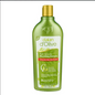 DALAN D OLIVE SHAMPOO COLOR PROTECTION 400 ML