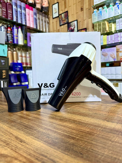 V&G Professional Hair Dryer Pro- 4200
