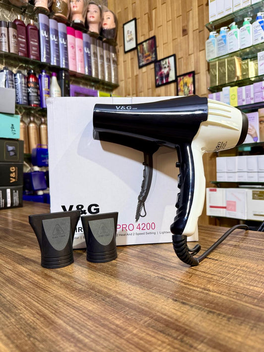 V&G Professional Hair Dryer Pro- 4200